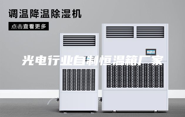 光電行業(yè)自制恒溫箱廠家