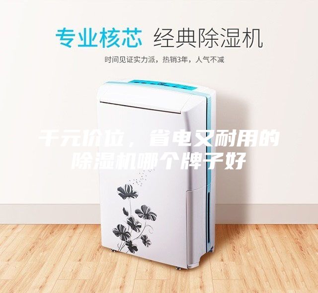 千元價位，省電又耐用的除濕機哪個牌子好