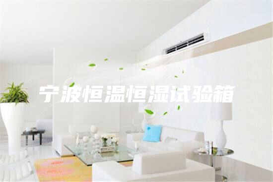 寧波恒溫恒濕試驗箱