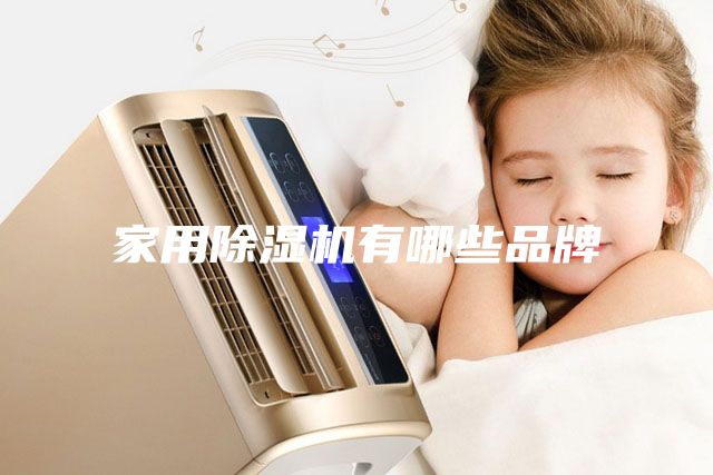 家用除濕機(jī)有哪些品牌