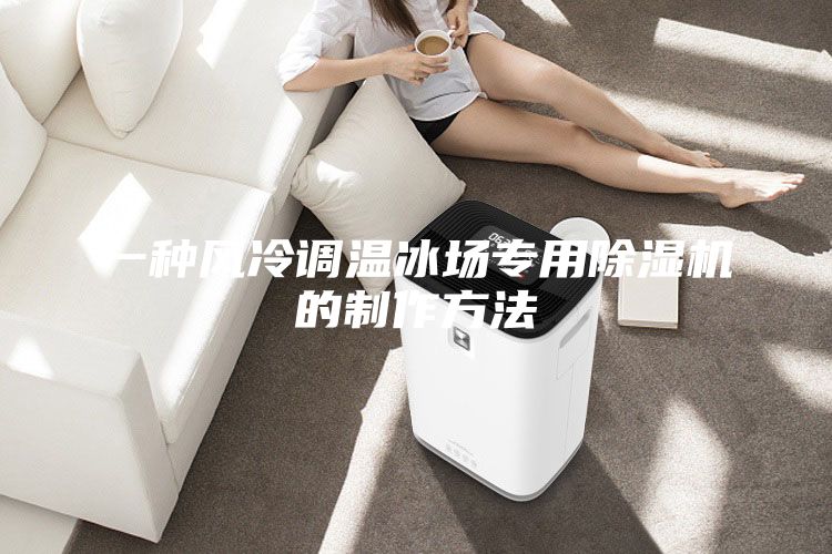 一種風(fēng)冷調(diào)溫冰場專用除濕機(jī)的制作方法
