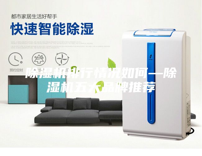除濕機排行情況如何—除濕機五大品牌推薦