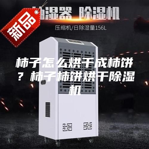 柿子怎么烘干成柿餅？柿子柿餅烘干除濕機