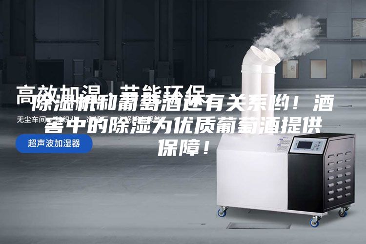 除濕機和葡萄酒還有關系喲！酒窖中的除濕為優質葡萄酒提供保障！
