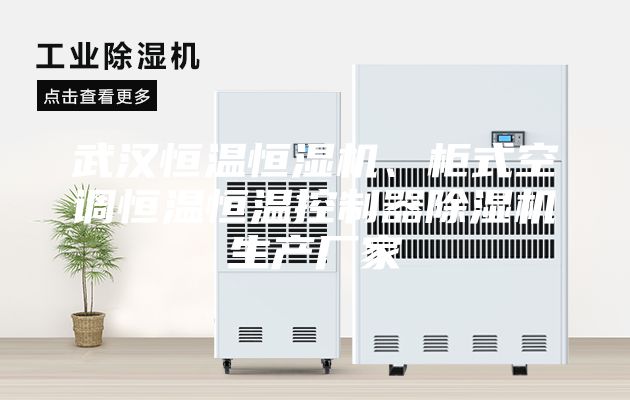 武漢恒溫恒濕機、柜式空調恒溫恒溫控制器除濕機生產廠家