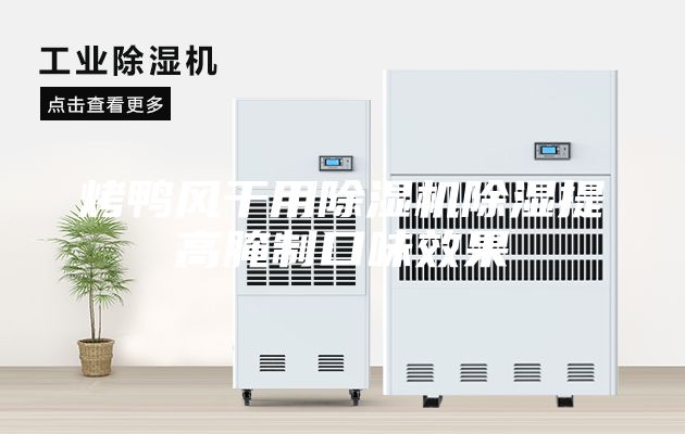 烤鴨風干用除濕機除濕提高腌制口味效果