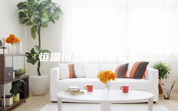 恒溫恒濕循環試驗箱
