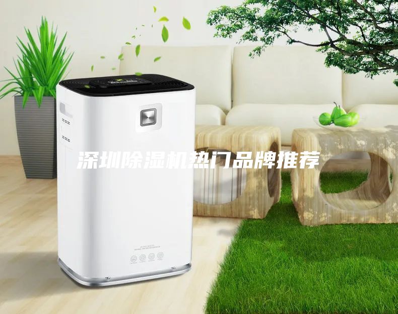 深圳除濕機(jī)熱門品牌推薦