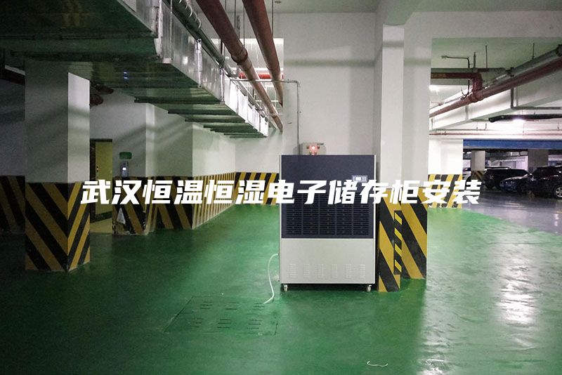 武漢恒溫恒濕電子儲存柜安裝