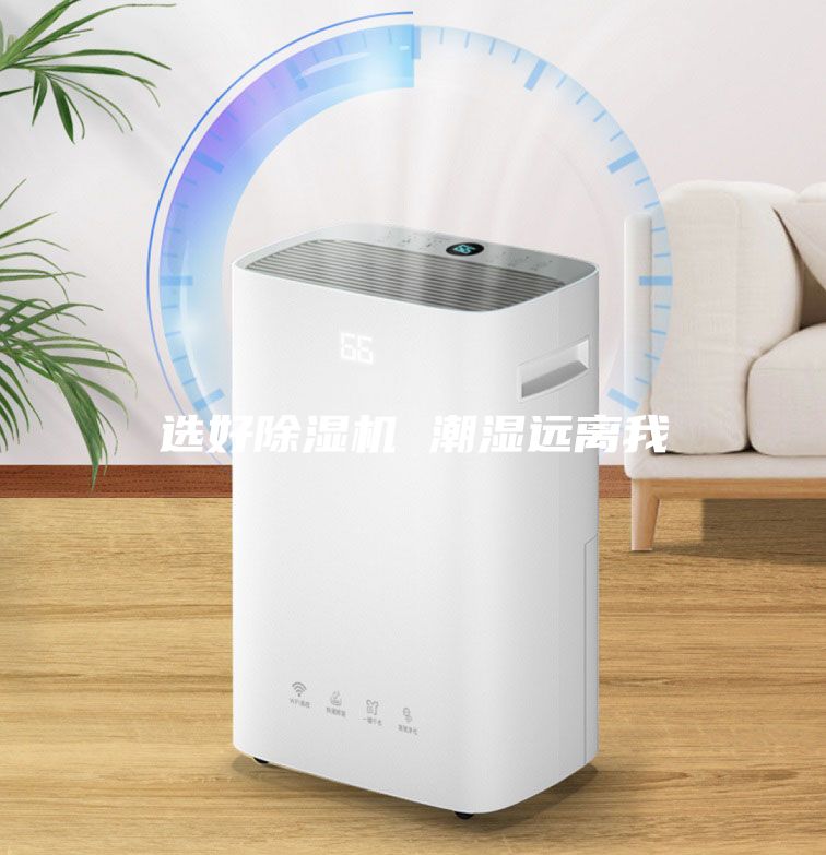 選好除濕機 潮濕遠離我