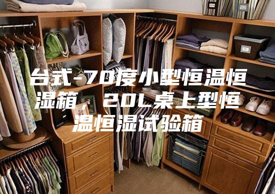 臺式-70度小型恒溫恒濕箱，20L桌上型恒溫恒濕試驗箱