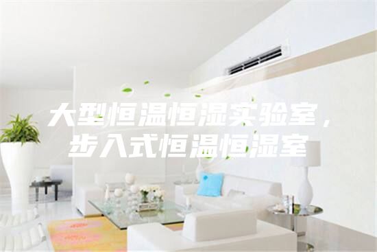 大型恒溫恒濕實(shí)驗(yàn)室，步入式恒溫恒濕室