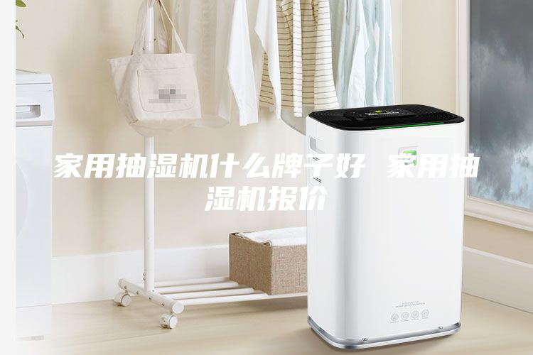 家用抽濕機(jī)什么牌子好 家用抽濕機(jī)報(bào)價(jià)