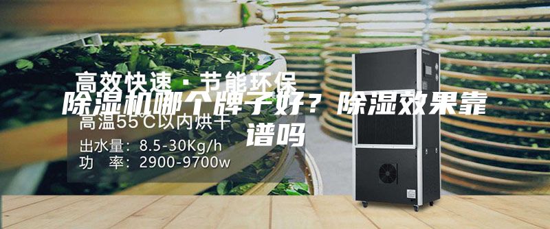 除濕機哪個牌子好？除濕效果靠譜嗎