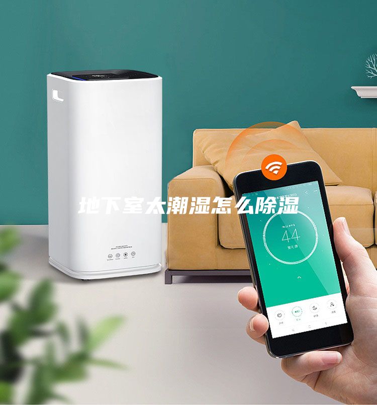 地下室太潮濕怎么除濕