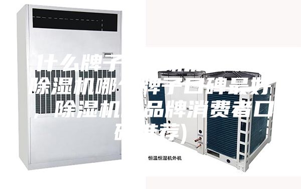什么牌子除濕機質量好(除濕機哪個牌子口碑最好，除濕機的品牌消費者口碑推薦)