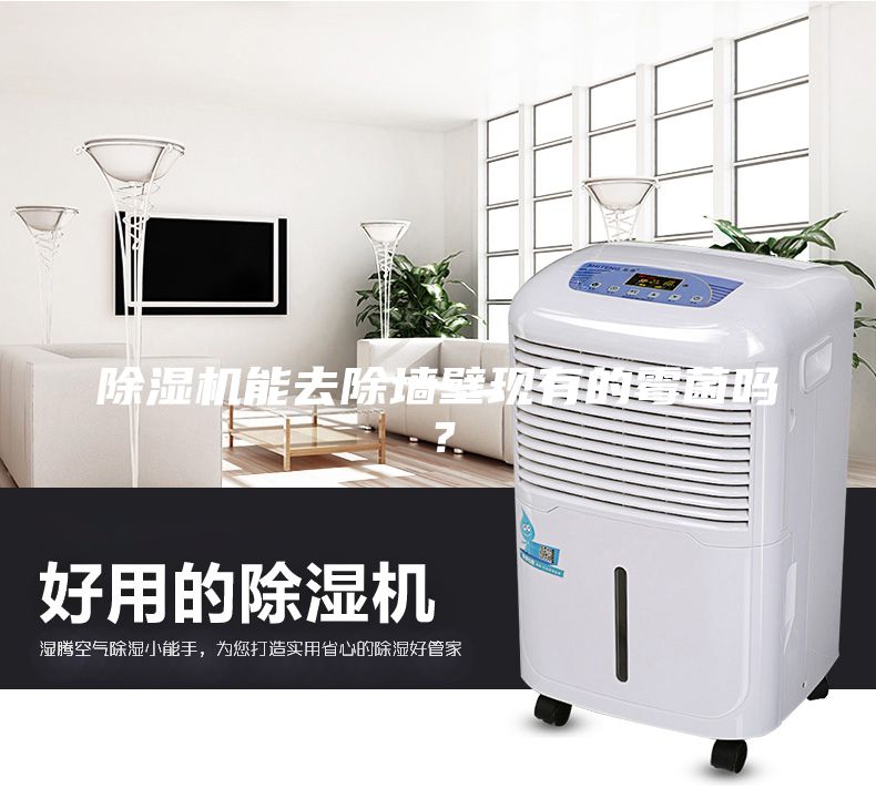 除濕機(jī)能去除墻壁現(xiàn)有的霉菌嗎？