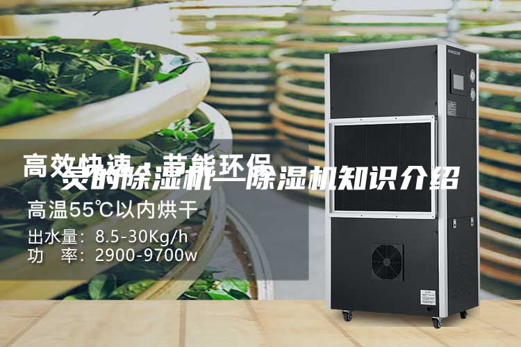 靈的除濕機—除濕機知識介紹