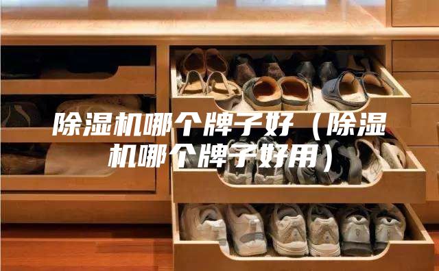 除濕機哪個牌子好（除濕機哪個牌子好用）