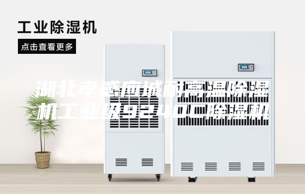 湖北孝感應城耐高溫除濕機工業(yè)級9240C除濕機