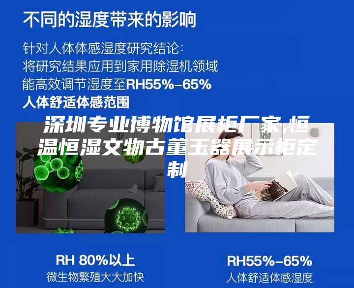 深圳專業(yè)博物館展柜廠家,恒溫恒濕文物古董玉器展示柜定制