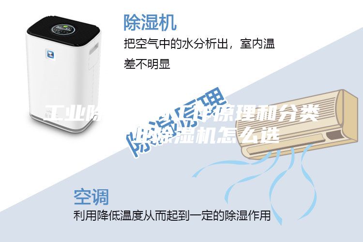 工業除濕機的工作原理和分類，行業除濕機怎么選