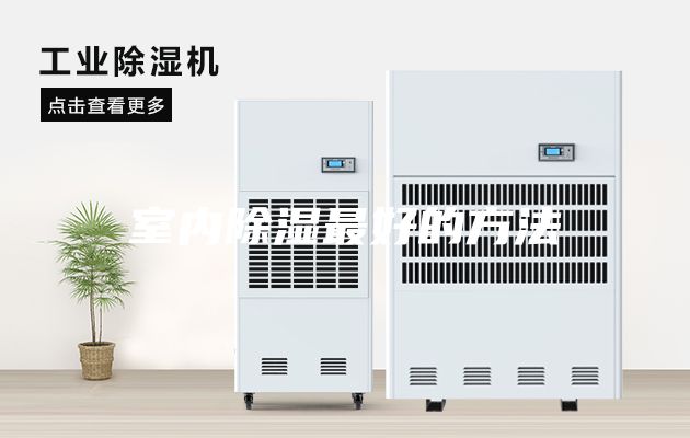 室內除濕最好的方法