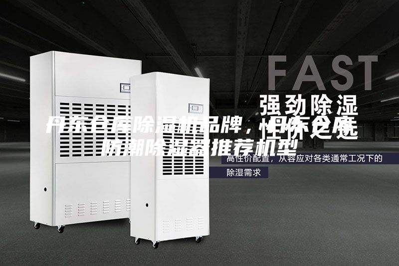 丹東倉庫除濕機(jī)品牌，丹東倉庫防潮除濕器推薦機(jī)型