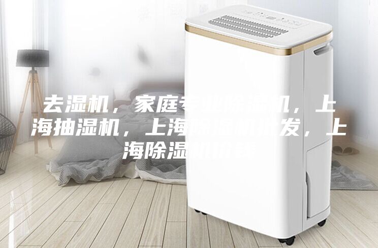 去濕機(jī)，家庭專業(yè)除濕機(jī)，上海抽濕機(jī)，上海除濕機(jī)批發(fā)，上海除濕機(jī)價(jià)錢