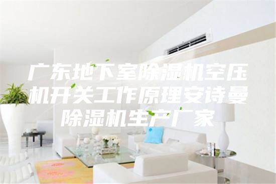 廣東地下室除濕機(jī)空壓機(jī)開(kāi)關(guān)工作原理安詩(shī)曼除濕機(jī)生產(chǎn)廠家