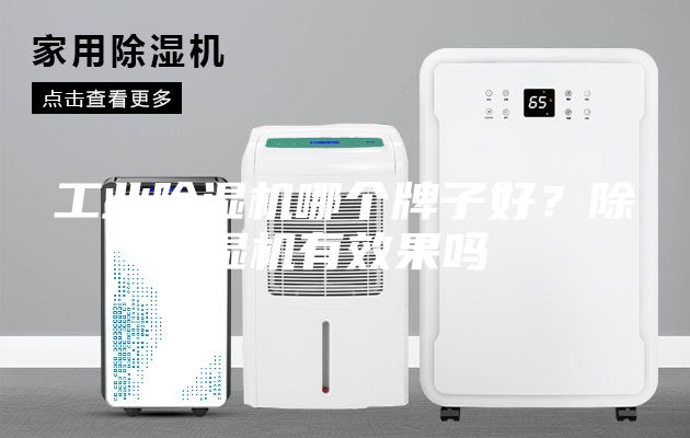 工業除濕機哪個牌子好？除濕機有效果嗎