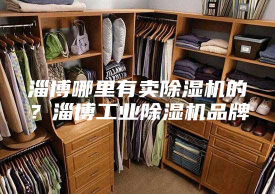 淄博哪里有賣除濕機的？淄博工業除濕機品牌