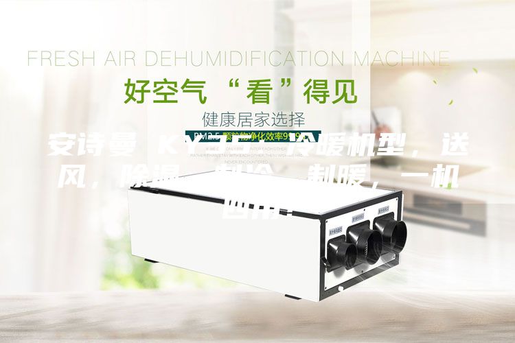 安詩曼 KY35：冷暖機型，送風，除濕，制冷，制暖，一機四用！