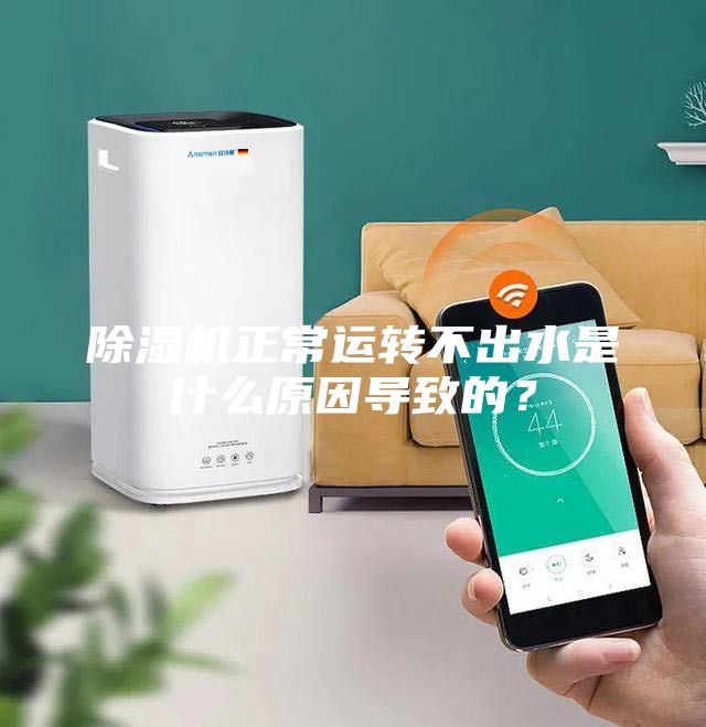 除濕機(jī)正常運(yùn)轉(zhuǎn)不出水是什么原因?qū)е碌模?/></p>
                            <p style=