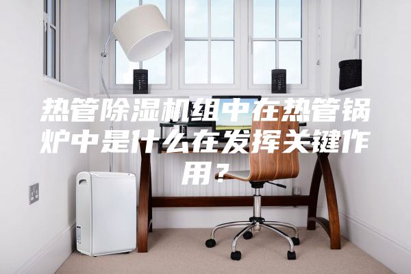 熱管除濕機組中在熱管鍋爐中是什么在發(fā)揮關鍵作用？