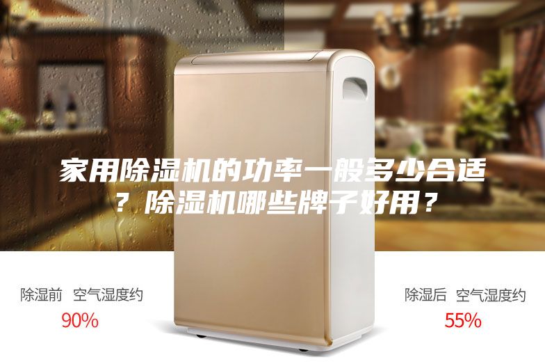 家用除濕機(jī)的功率一般多少合適？除濕機(jī)哪些牌子好用？