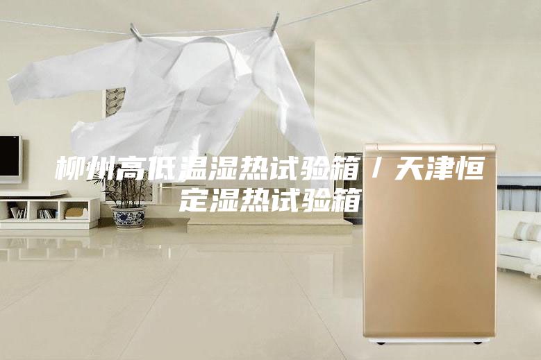 柳州高低溫濕熱試驗(yàn)箱／天津恒定濕熱試驗(yàn)箱