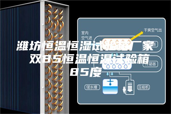 濰坊恒溫恒濕試驗(yàn)箱廠家 雙85恒溫恒濕試驗(yàn)箱85度