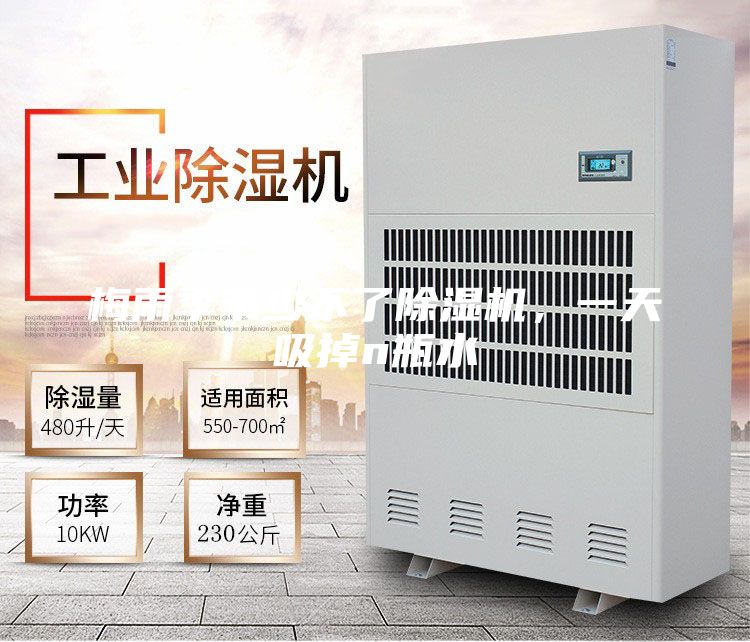 梅雨季節(jié)少不了除濕機(jī)，一天吸掉n瓶水