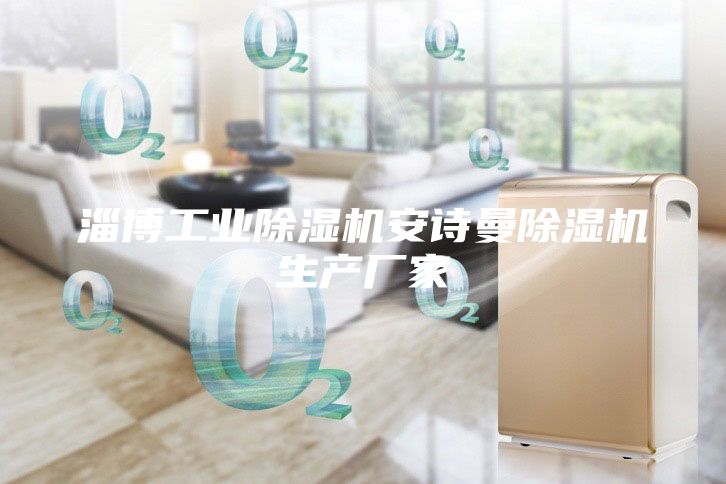 淄博工業(yè)除濕機(jī)安詩曼除濕機(jī)生產(chǎn)廠家