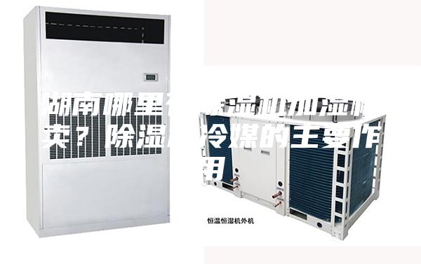湖南哪里有除濕機加濕機賣？除濕機冷媒的主要作用
