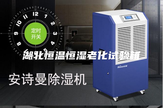 湖北恒溫恒濕老化試驗(yàn)箱