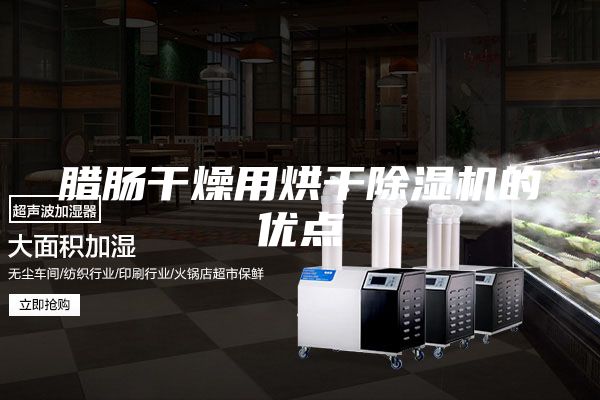臘腸干燥用烘干除濕機(jī)的優(yōu)點(diǎn)