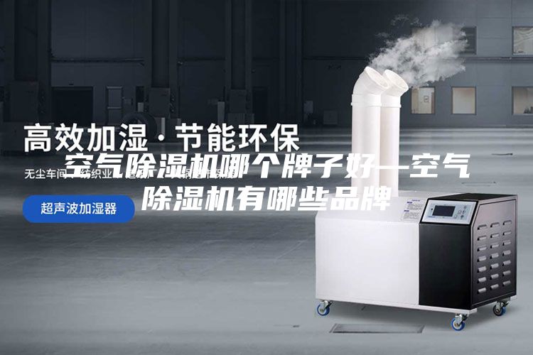 空氣除濕機哪個牌子好—空氣除濕機有哪些品牌