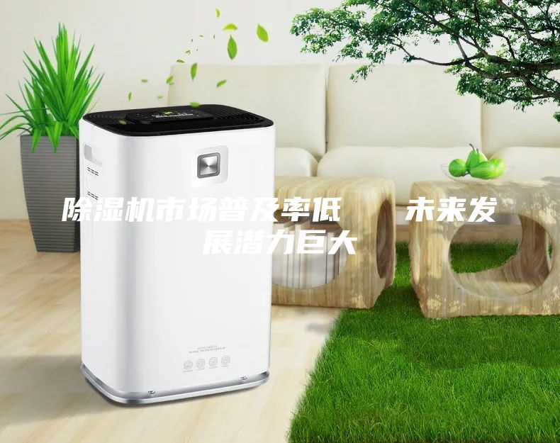除濕機(jī)市場(chǎng)普及率低   未來(lái)發(fā)展?jié)摿薮?/></p>
                            <p style=