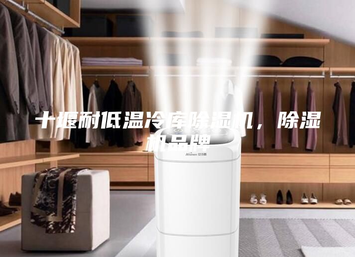 十堰耐低溫冷庫(kù)除濕機(jī)，除濕機(jī)品牌