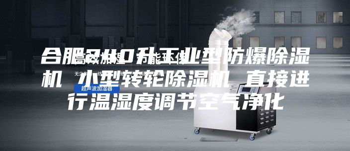 合肥240升工業(yè)型防爆除濕機 小型轉(zhuǎn)輪除濕機 直接進行溫濕度調(diào)節(jié)空氣凈化