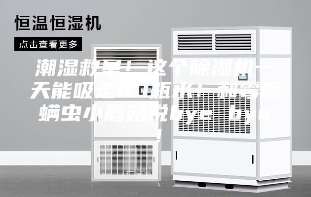 潮濕救星！這個除濕機一天能吸走40瓶水！和霉菌螨蟲小蘑菇說bye bye！