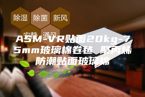 ASM-VR貼面20kg-75mm玻璃棉卷氈 聚丙烯防潮貼面玻璃棉