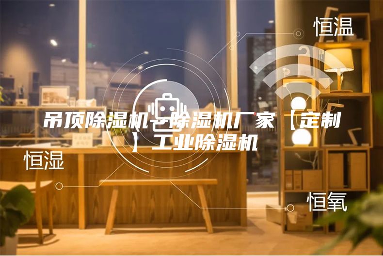 吊頂除濕機--除濕機廠家【定制】工業(yè)除濕機